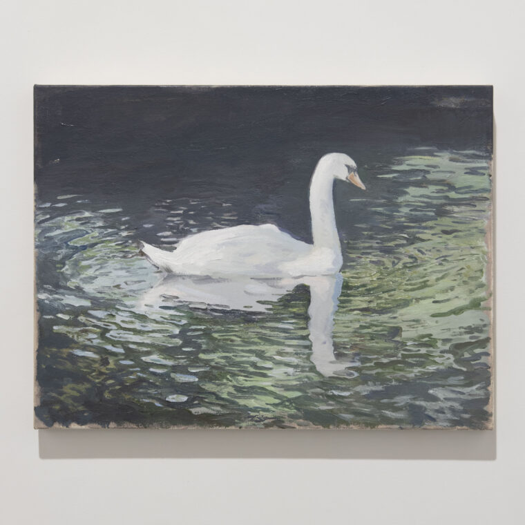 Swan